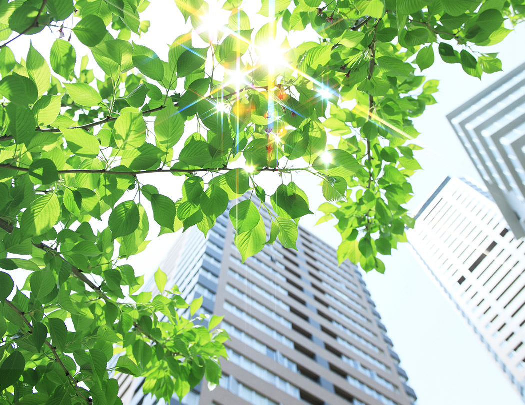 環境活動への取り組み