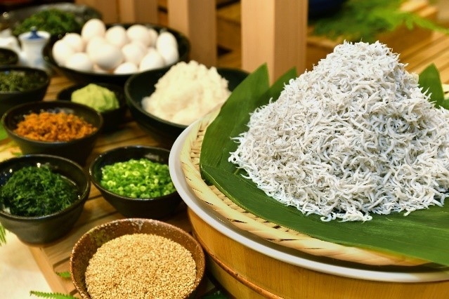 愛知県三河湾産のしらす