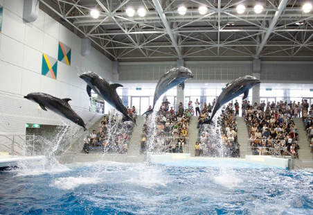 いおワールドかごしま水族館