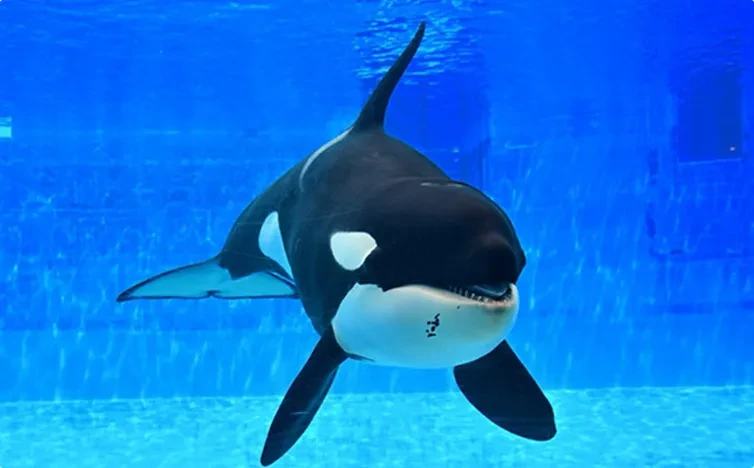 画像：名古屋港水族館