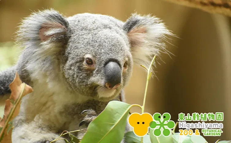 画像：東山動植物園