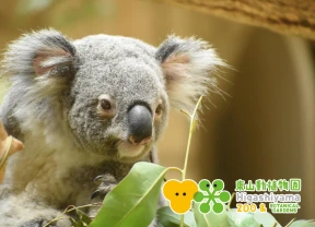 画像：東山動植物園