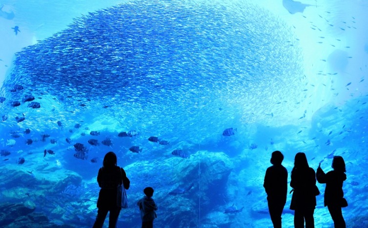 画像：うみの杜水族館