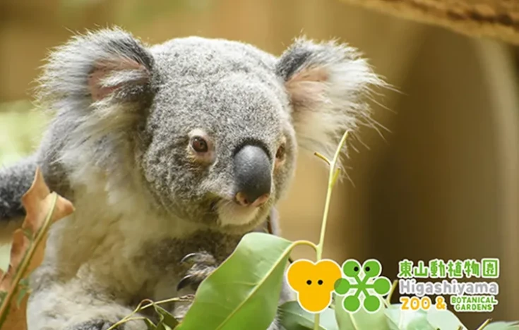 画像:東山動植物園