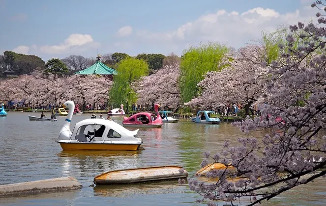 画像:上野恩賜公園