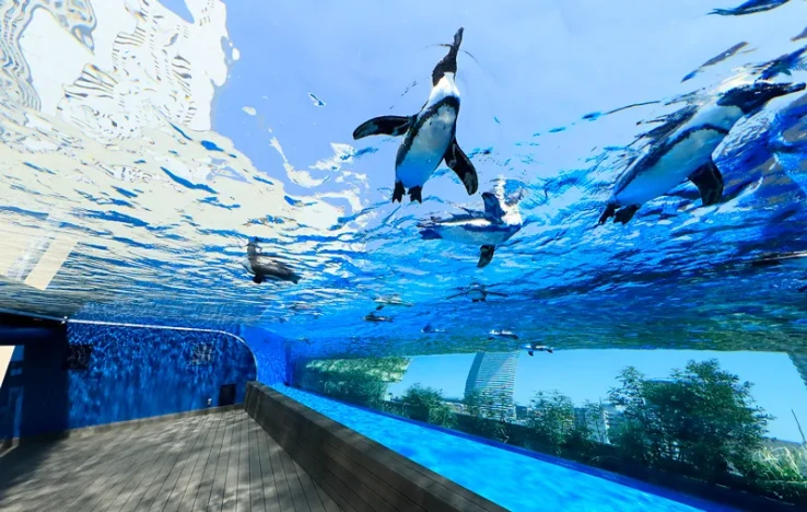画像:サンシャイン水族館