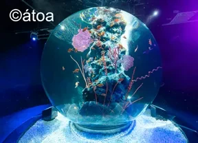 画像：アトアー劇場型アクアリウム