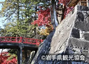 盛岡城跡公園（岩手公園）