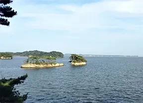 画像：松島