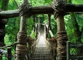 写真：祖谷のかずら橋