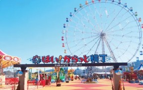 写真：はい！からっと横丁