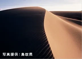 画像：鳥取砂丘