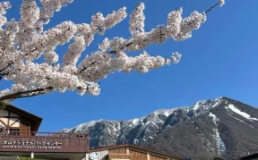 画像：大山隠岐国立公園