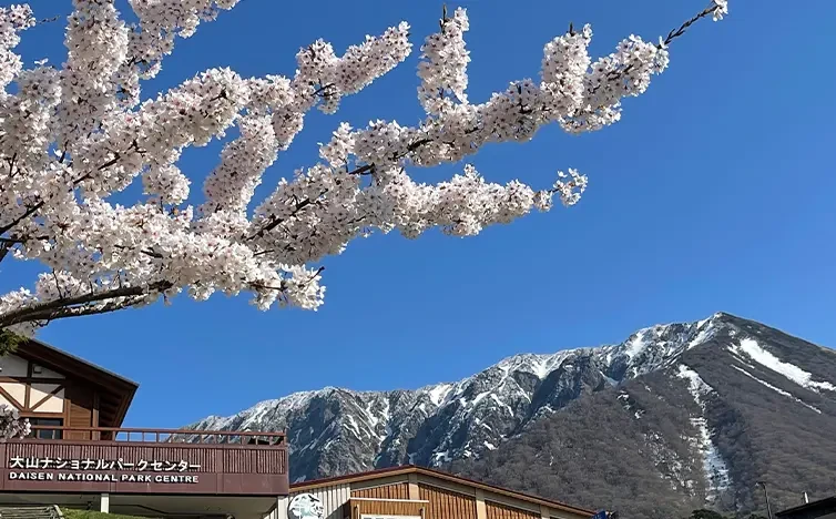 画像:大山隠岐国立公園