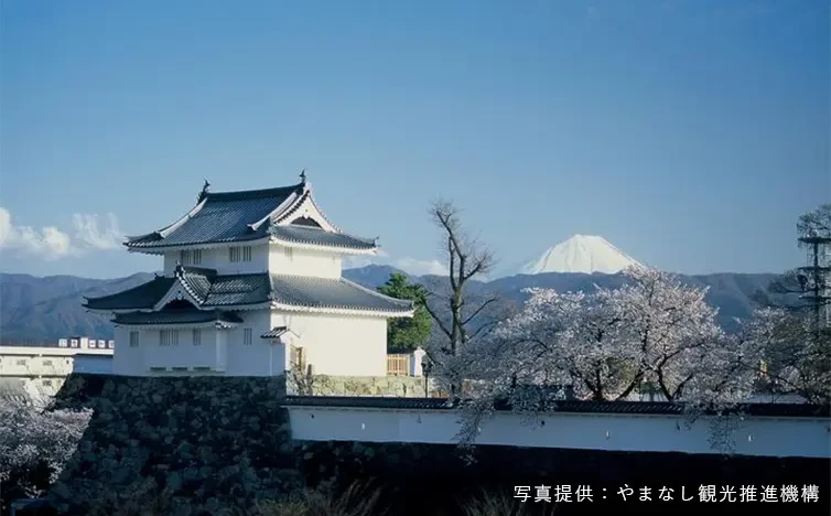 画像:舞鶴城公園