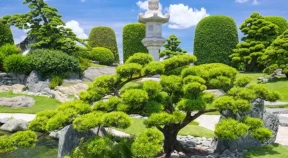 写真：足立美術館