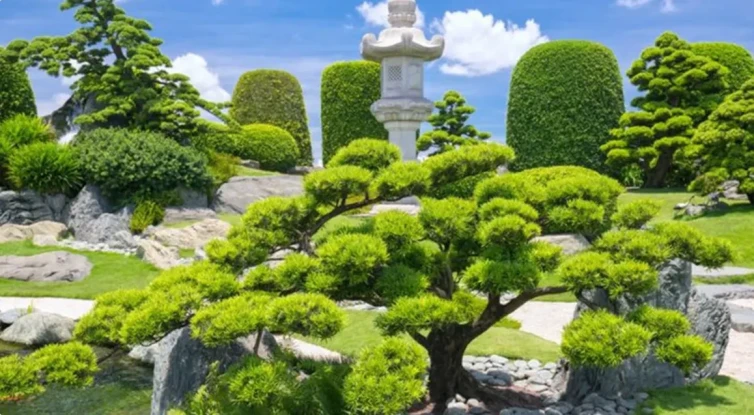 写真:足立美術館