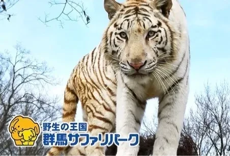 野生の王国 群馬サファリパーク