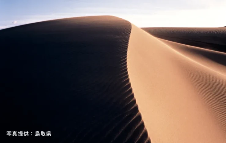 画像：鳥取砂丘