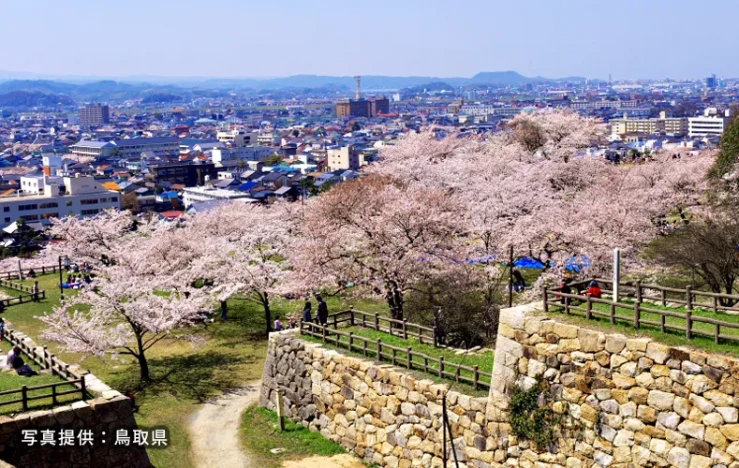 画像：鳥取城跡久松公園