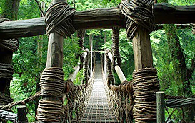 写真：祖谷のかずら橋