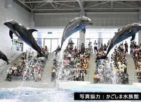 画像：いおワールドかごしま水族館