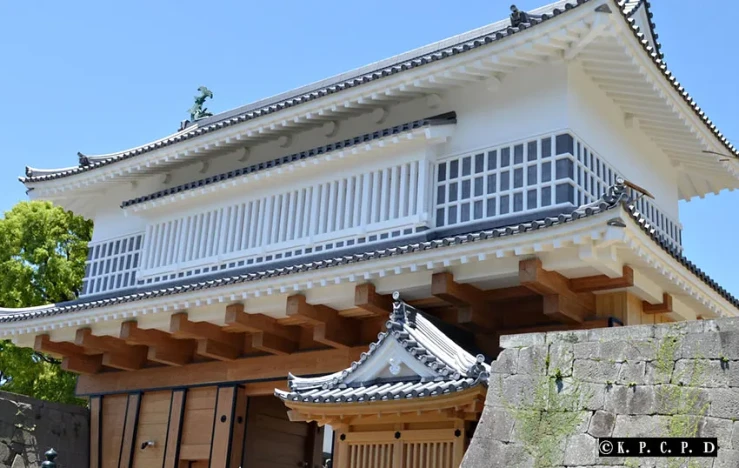 画像:鹿児島市コミュニティサイクル「かごりん」