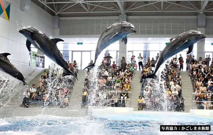 画像:いおワールドかごしま水族館
