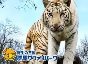 野生の王国 群馬サファリパーク