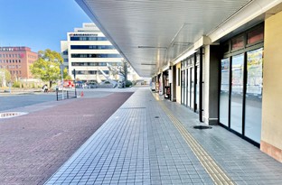 画像：ルート画像