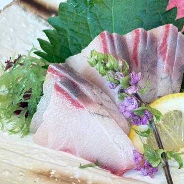 天草産 ハマチのお造り