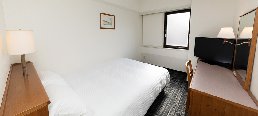Twin Room photo