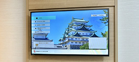 Wide monitor