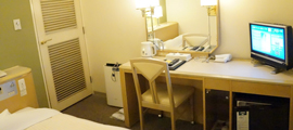 Spacious guestroom