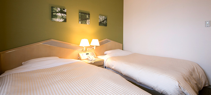 Twin Room photo