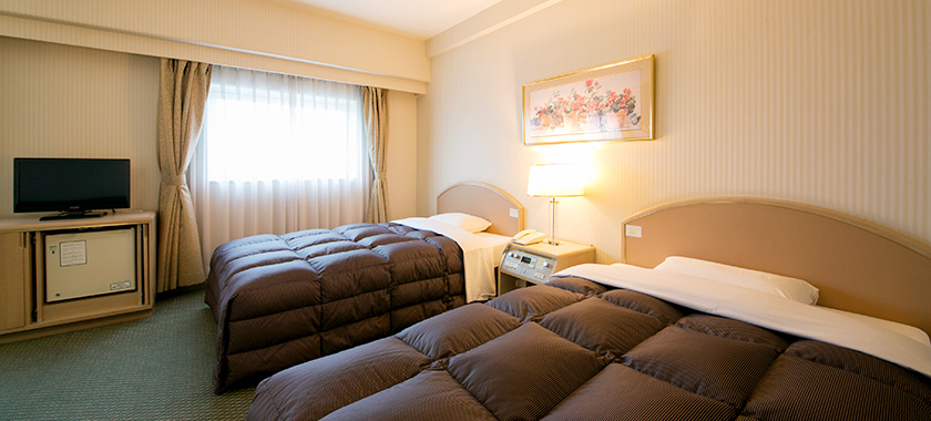 Deluxe Twin Room