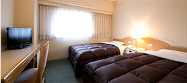 Spacious guestroom