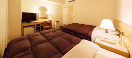 Spacious guestroom